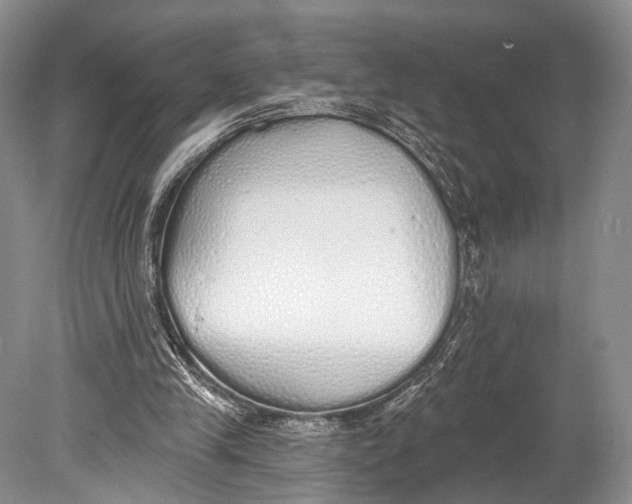 X0000078830245200612041820