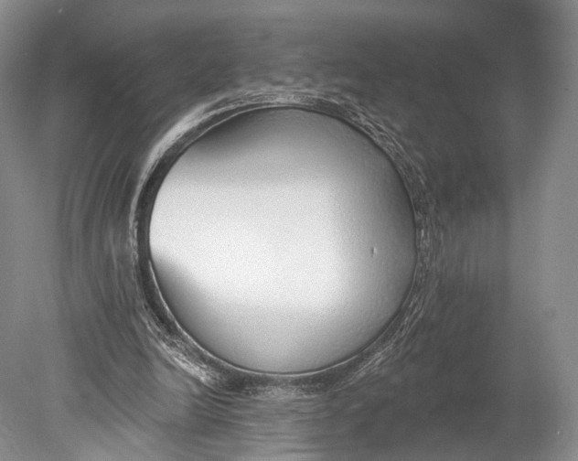 X0000078830246200612041820