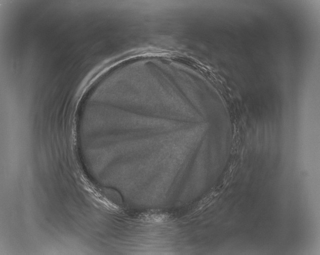 X0000078830247200612041821