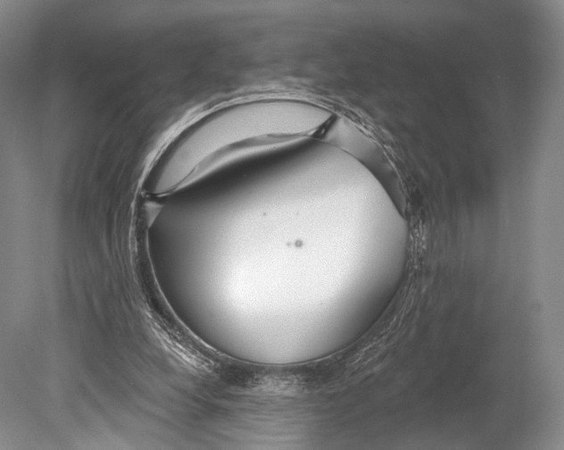 X0000078830248200612041821