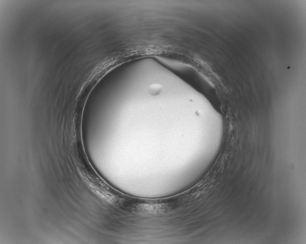 X0000078830250200612041821