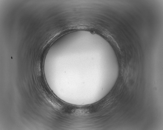 X0000078830251200612041821