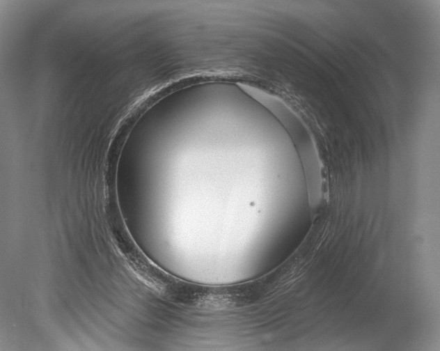 X0000078830252200612041821