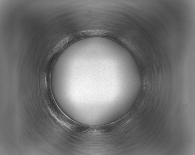 X0000078830254200612041821