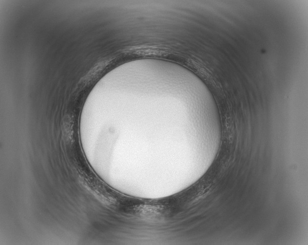 X0000078830255200612041821