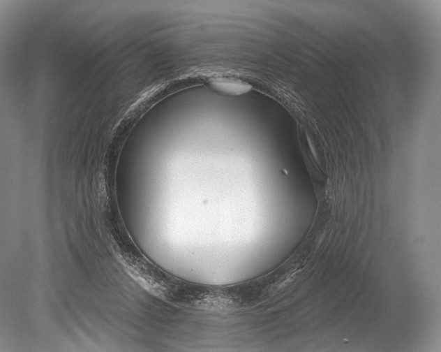 X0000078830256200612041821