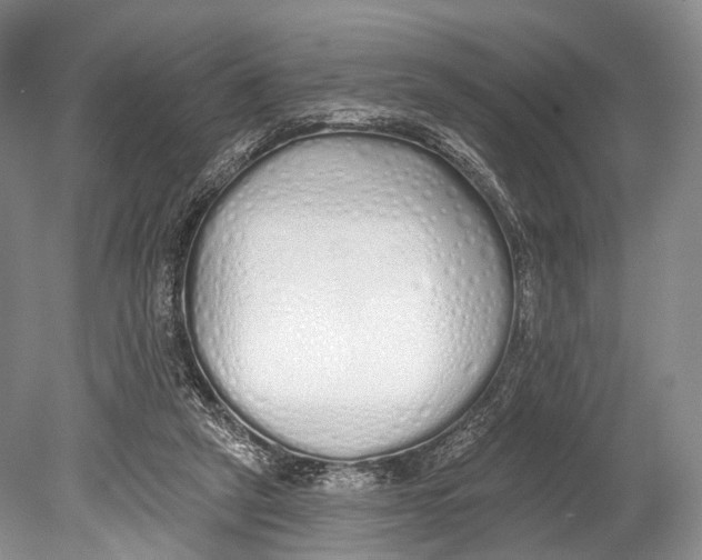 X0000078830257200612041821