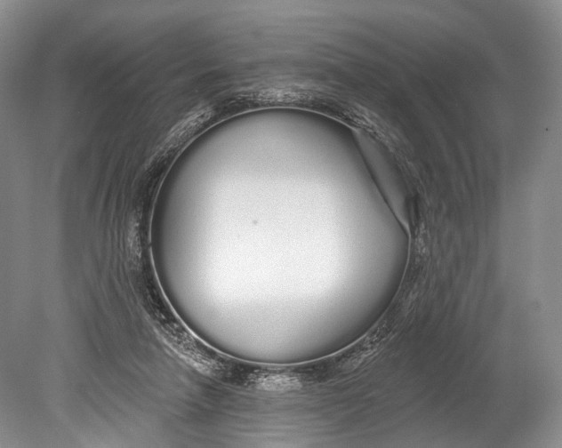 X0000078830258200612041821