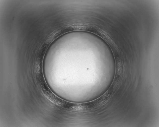 X0000078830259200612041821