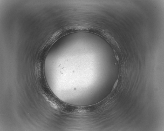 X0000078830260200612041821