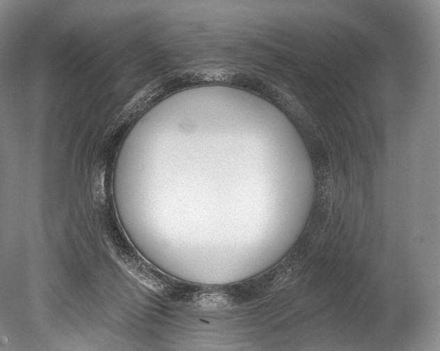 X0000078830262200612041821