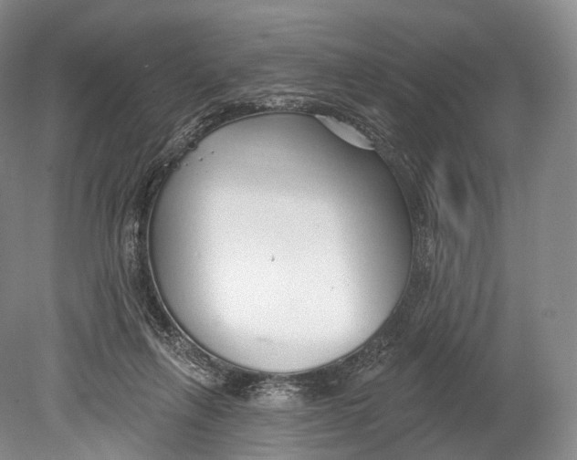 X0000078830263200612041821