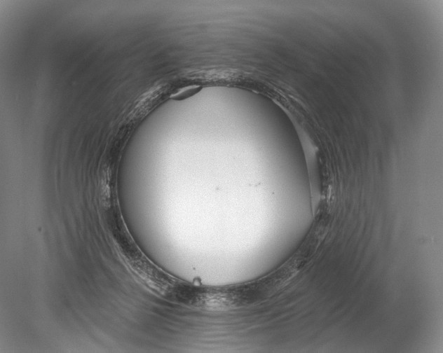 X0000078830264200612041821