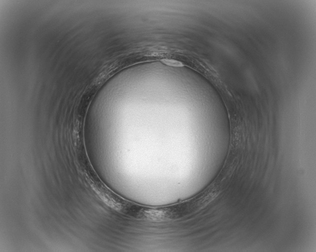 X0000078830265200612041821