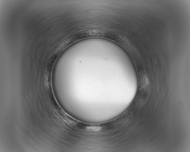 X0000078830266200612041821