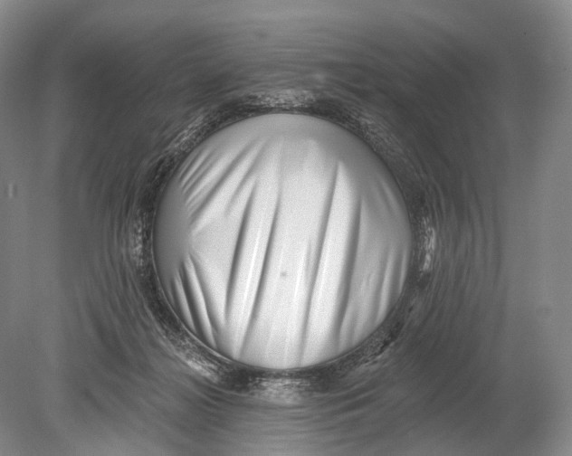 X0000078830268200612041821