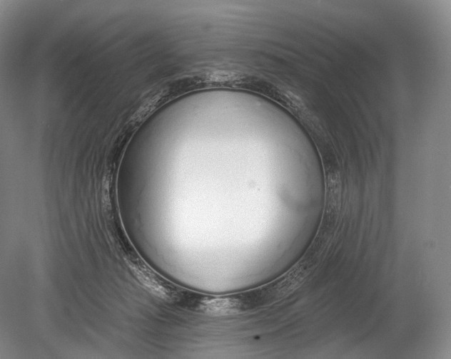 X0000078830269200612041821