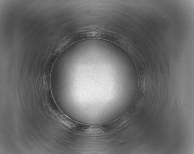 X0000078830270200612041821