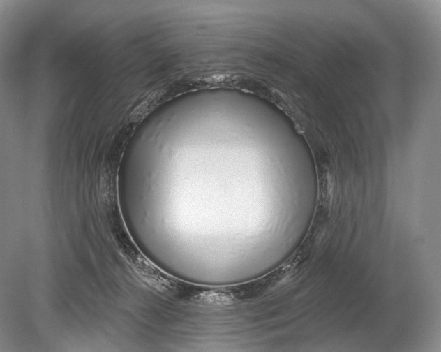 X0000078830272200612041821