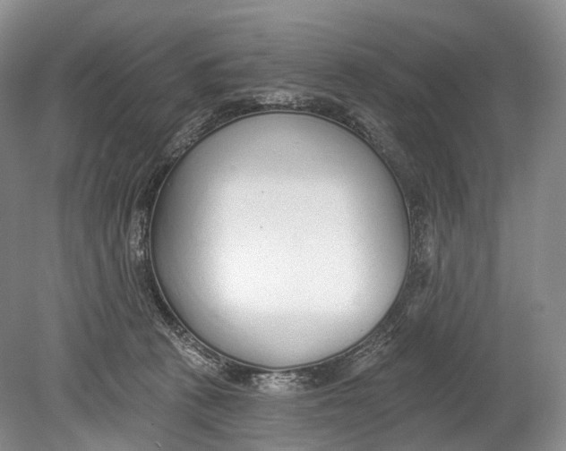 X0000078830273200612041821