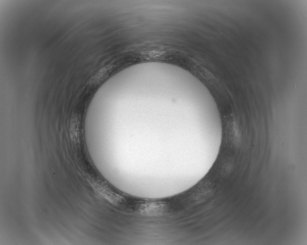 X0000078830274200612041821