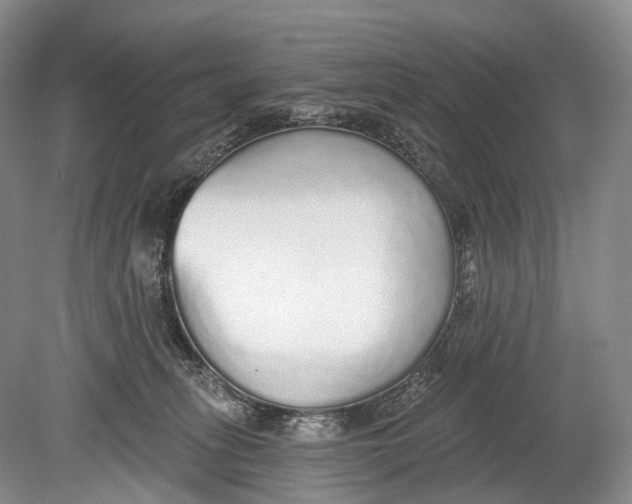 X0000078830275200612041821