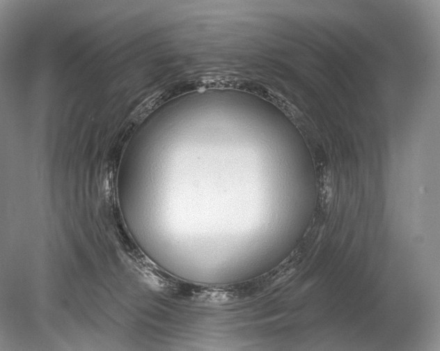 X0000078830276200612041821