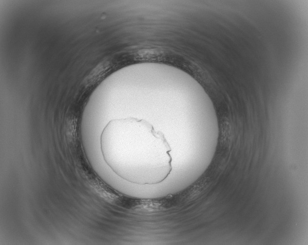 X0000078830278200612041821