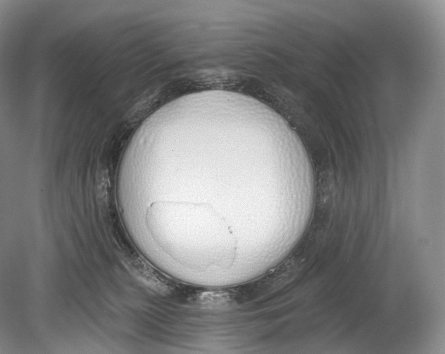 X0000078830279200612041821