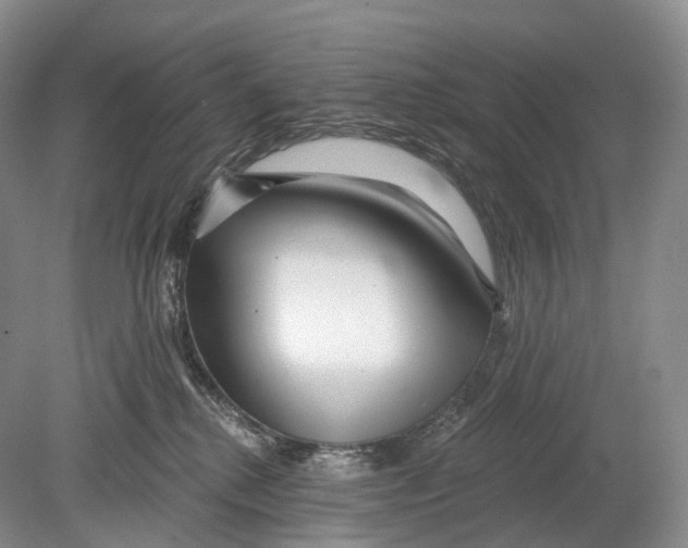 X0000078830280200612041821