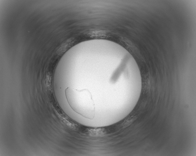 X0000078830281200612041821