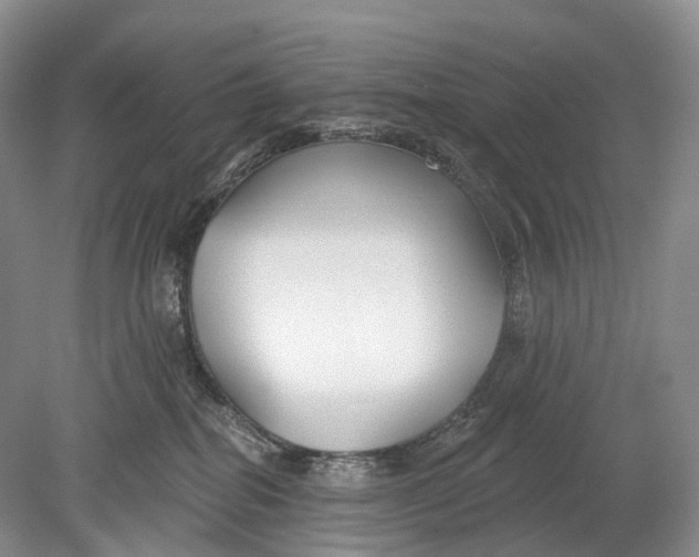 X0000078830282200612041821