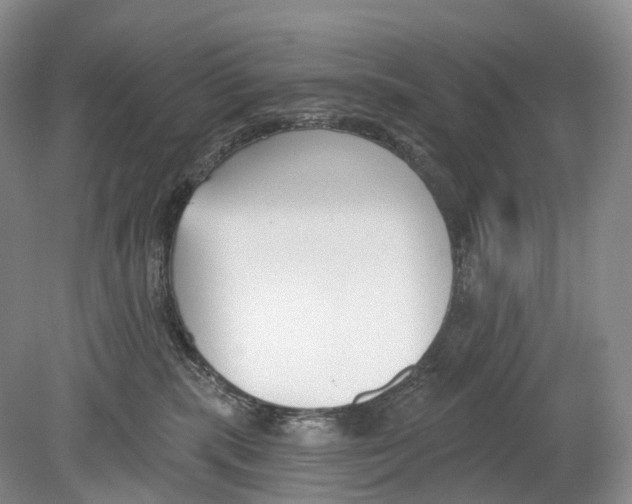 X0000078830283200612041821