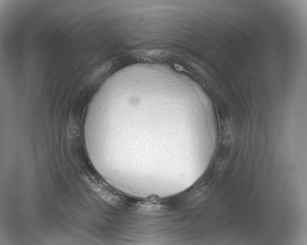 X0000078830284200612041821