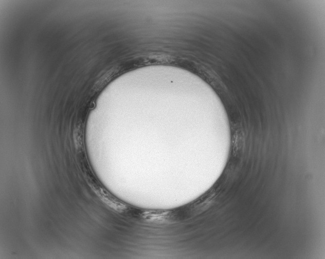 X0000078830285200612041821