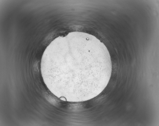 X0000078830286200612041821