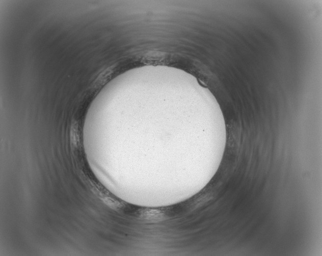 X0000078830287200612041821