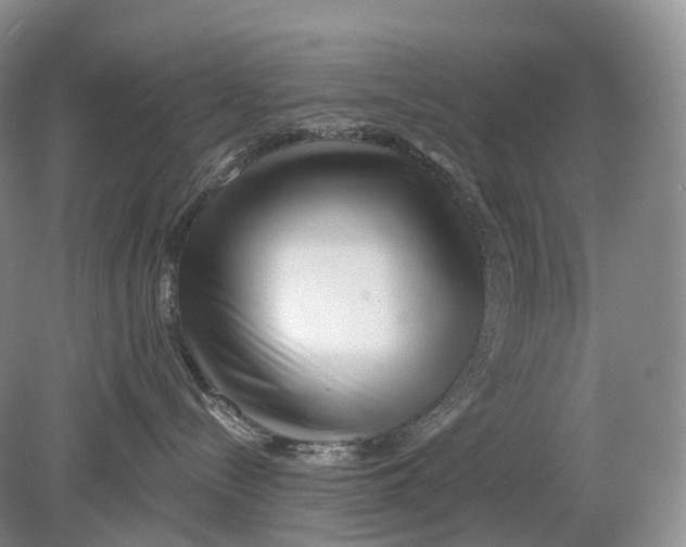 X0000078830288200612041821