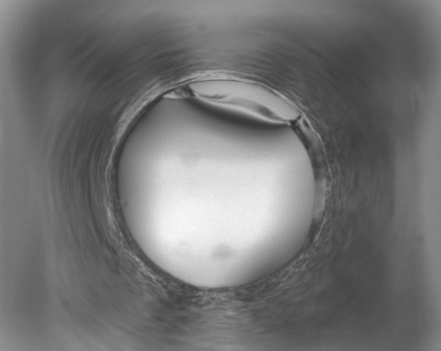 X0000078830289200612041820