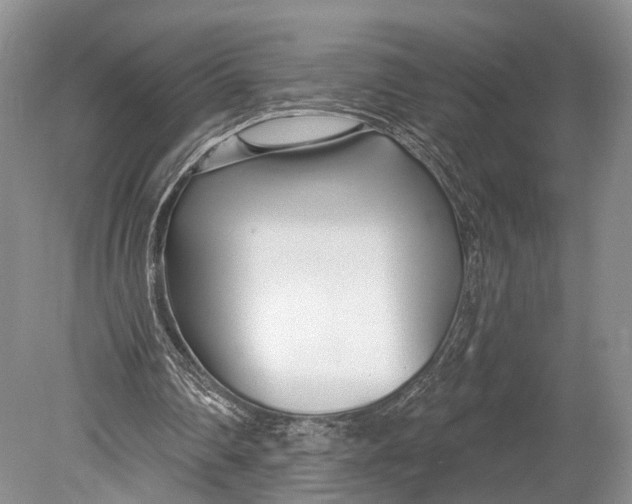 X0000078830290200612041820