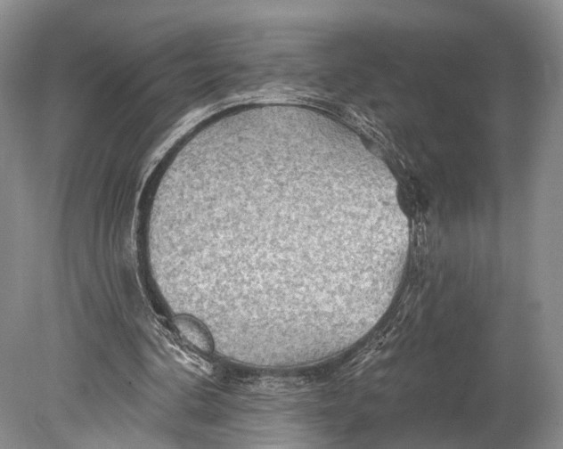 X0000078830292200612041820