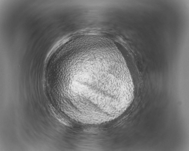 X0000078830293200612041820