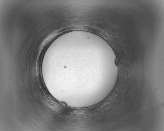 X0000078830294200612041820