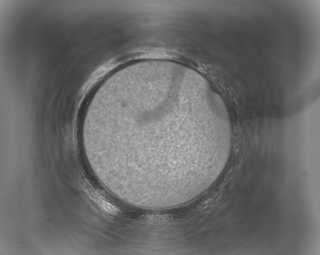 X0000078830296200612041820