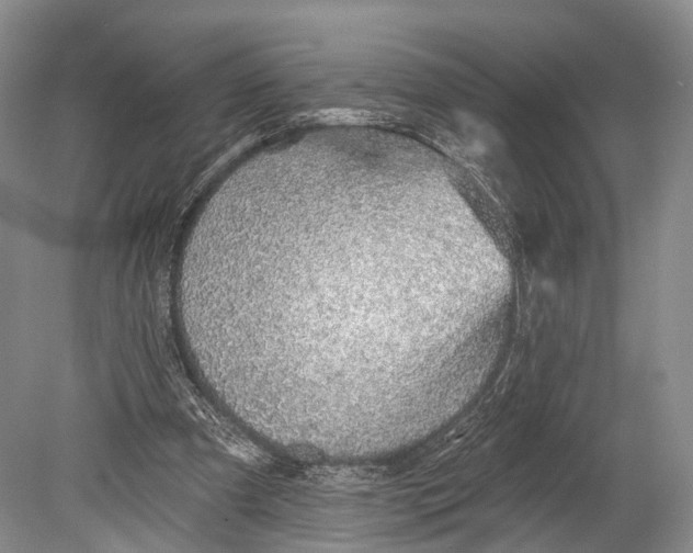 X0000078830297200612041820