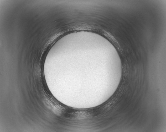 X0000078830298200612041820