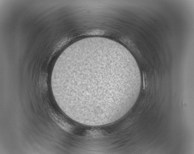 X0000078830300200612041820