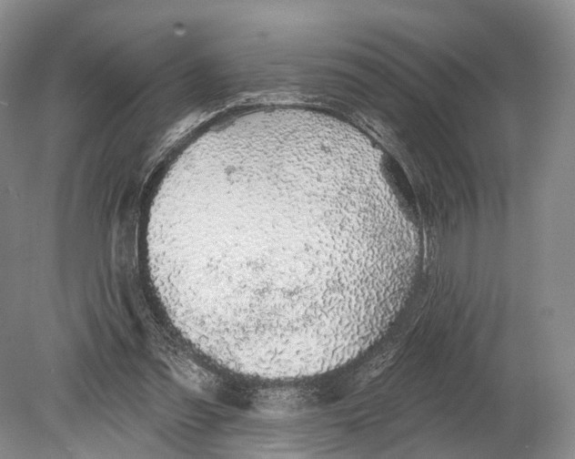 X0000078830301200612041820