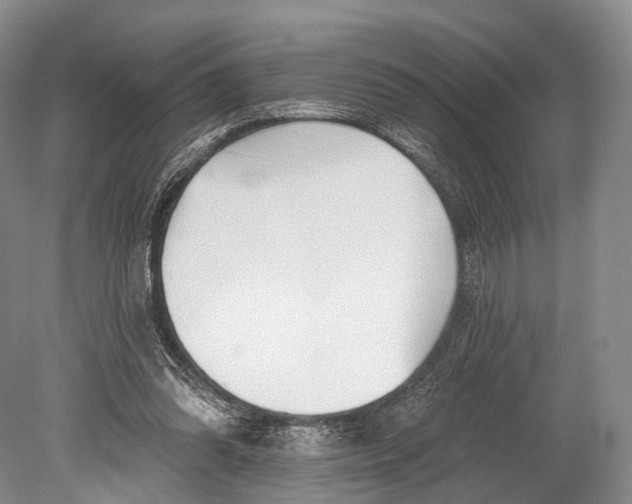 X0000078830302200612041820