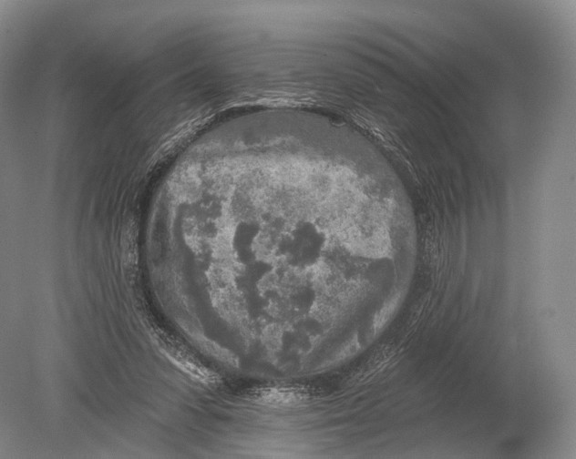 X0000078830303200612041820